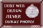 Award # 486 - Deb's Silver Award (CLOSED)