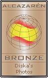 Award # 498 - Alcazarn (CLOSED)