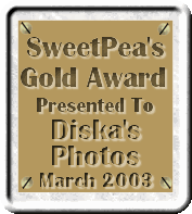 Award # 504 - SweetPea's Gold Award 2003 (CLOSED)
