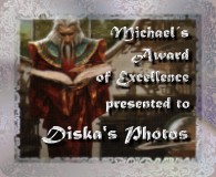 Award # 509 - Michael's Silver Award of Excellence