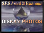 Award # 511 - SFG Award Of Excellence (CLOSED)