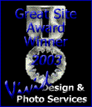 Award # 525 - Vivid Design's Great Site Award (CLOSED)