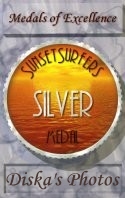 Award # 551 - SunsetSurfers Silver Medal of Excellence