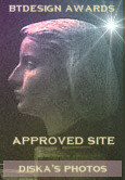 Award # 552 - BTDesign Approved