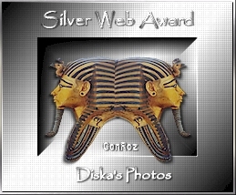 Award # 558 - ConRoz Silver Web Award (CLOSED)