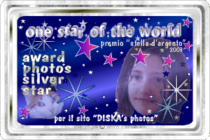 Award # 583 - One Star of the World - Silver Star Award (AWARD PROGRAM CLOSED)