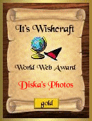 Award # 611 - It's Wishcraft Gold Award (CLOSED)