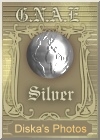 Award # 615 - GNAE Silver Award 2004 - (CLOSED)