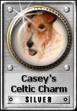 Award # 618 - Casey's Celtic Charm Silver Award