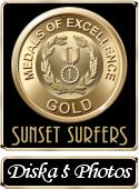 Award # 624 - Sunset Surfers Gold Medal