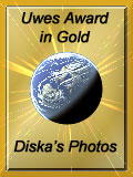 Award # 629 - Uwe's Gold Award -(CLOSED)
