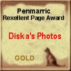 Award # 635 - Penmarric Rexellent Page Gold Award (CLOSED)