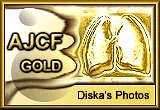 Award # 636 - AJCF Gold Award (CLOSED)