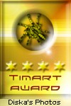 Award # 642 - Tim's Golden Spider Award