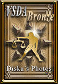Award # 656 - VSDA Bronze Award (CLOSED)