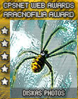 Award # 671 - CPS Net - Aracnofilia Web Design Award (CLOSED)