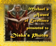 Award # 672 - Michael's Gold Award of Excellence