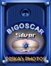 Award # 691 - BigOscar Silver Award (AWARD PROGRAM CLOSED)