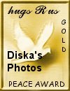 Award # 712 - Peace Gold Award (CLOSED)