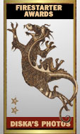 Award # 721 - Firestarter Silver Award (CLOSED)