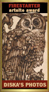 Award # 722 - Firestarter Artsite Award (CLOSED)