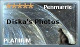 Award # 726 - Penmarric Rexellent Page Platinum Award (CLOSED)