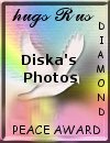 Award # 727 - Peace Diamond Award (CLOSED)
