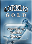 Award # 732 - Lorelei Gold Award (CLOSED)