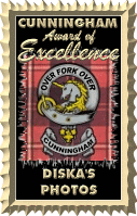 Award # 749 - Cunningham Award of Excellence (AWARD PROGRAM CLOSED)