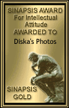 Award # 755 - Sinapsis Gold Award (CLOSED)