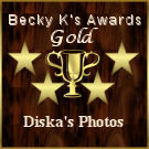 Award # 773 - Becky K's Gold Award (CLOSED)