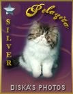 Award # 777 - Pelagita Silver Award