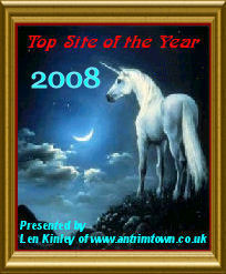Award # 789 - Antrim Town Top Site of the Year 2008