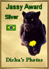 Award # 794 - Jassy Silver Award - CLOSED
