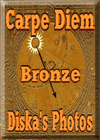 Award # 796 - Carpe Diem Bronze Award - CLOSED