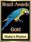 Award # 800 - Brazil Awards Gold Award