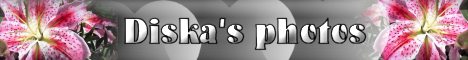 Banner 468x60