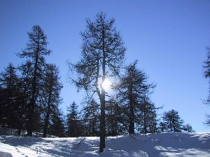 Veduta dal Rifugio Bellano