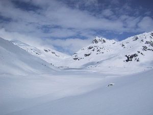 foto agrandada