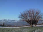 F129 (160585 byte) - Inverno sulle colline marchigiane/AN