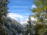 M109 (288608 byte) - La prima neve salendo all'Alpe Ventina