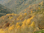 M112 (217160 byte) - Autumn: view from Mount Bisbino