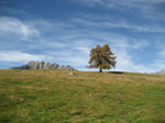 M167 (210802 byte) - Autumn at Alpe Granda