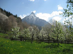 M188 (298822 byte) - Springtime view of Mount Pizzo Badile Camuno (2435mt)