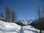 M204 (216024 byte) - Sentiero battuto