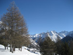 M205 (231154 byte) - Panorama