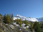 M230 (240097 byte) - Mount Pizzo Scalino (3323mt) from Zoia Hut (2021mt)
