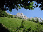 M254 (310685 byte) - Cime di Bares, verso il Rifugio Olmo (m. 1974)