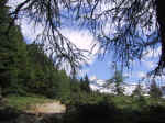 M28 (241255 byte) - Il Pizzo Scalino visto dal sentiero per l'Alpe Musella