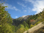 M315 (297991 byte) - Gasso Valley towards Mount Guglielmo